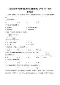 2024-2025学年湖南省长沙市长郡教育集团七年级（下）期中数学试卷（含答案）