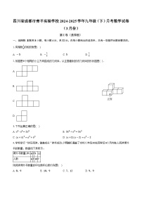 四川省成都市青羊实验学校2024-2025学年九年级（下）月考数学试卷（3月份）【含答案】