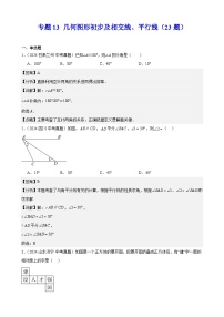 2024年中考数学真题分类汇编专题13 几何图形初步及相交线、平行线（23题）（教师版）