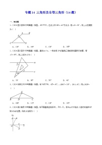 2024年中考数学真题分类汇编专题14 三角形及全等三角形（14题）（学生版）