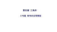 2025决胜中考河南数学一轮复习小专题 常考的全等模型课件
