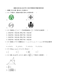 安徽省合肥市2025届九年级下学期春季开学模拟考试数学试卷(含答案)