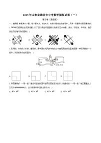 山东省潍坊市2025届九年级下学期中考模拟（一）数学试卷(含答案)