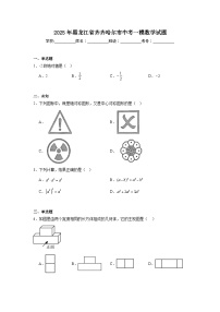 2025年黑龙江省齐齐哈尔市中考一模数学试题（无答案）