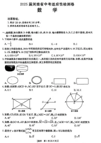 2025年漯河市九年级中考一模数学试卷及答案