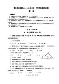 四川省成都市嘉祥教育2024-2025学年七年级下数学期中试卷