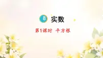 人教版（2024）七年级下册（2024）平方根教学演示ppt课件