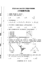 河南省灵宝市2024-2025学年八年级下学期期中数学试题