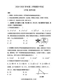 广东省深圳市深圳中学2024-2025学年七年级下数学期中试卷