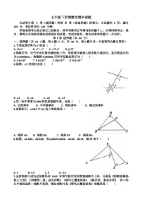 2025年济南市中区七年级下学期数学期中考试试题（含答案）