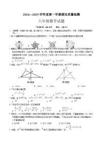 安徽省黄山市歙县2024-2025学年八年级上学期期末考试数学试卷(含答案)
