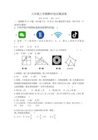 河北省邢台市威县2024-2025学年八年级上学期11月期中考试数学试卷（PDF版）