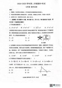 2024~2025学年深圳中学七年级下学期期中考试数学试卷（无答案）