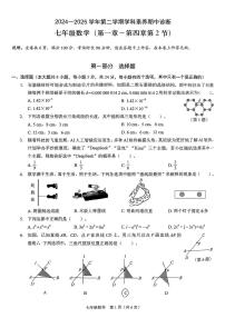 广东省深圳市龙岗区2024-2025学年七年级下数学期中试卷