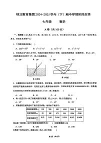 四川省成都市武侯区棕北中学2024-2025学年七年级下数学期中试卷