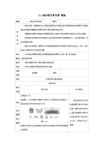 初中数学北师大版（2024）七年级下册（2024）轴对称及其性质教案