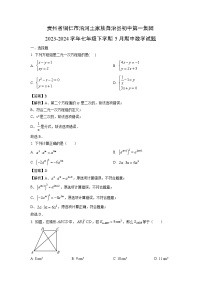 贵州省铜仁市沿河土家族自治县初中第一集团2023-2024学年七年级下学期5月期中数学试卷（解析版）
