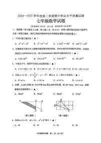 江苏省连云港市新海实验中学2024-2025学年下学期七年级期中数学试卷