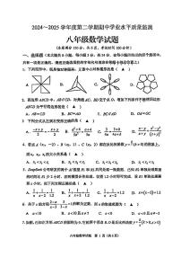 江苏省连云港市新海实验中学2024-2025学年八年级下期中数学试卷