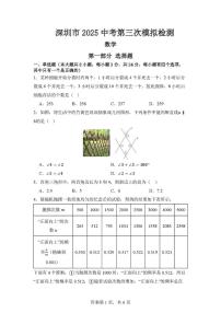 2025年广东深圳福田外国语学校中考三模数学检测卷