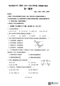 2024~2025学年深圳高级中学七年级下学期期中考试数学试卷（含答案）