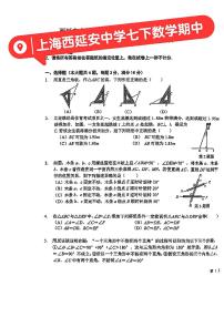 上海西延安中学2024-2025学年七年级下数学期中试卷