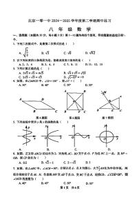 2025北京一零一中初二（下）期中真题数学试卷（教师版）