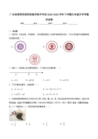广东省深圳实验学校2025届九年级下学期开学考试数学试卷(含解析)