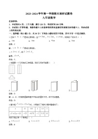 河南省平顶山市2024届九年级上学期期末考试数学试卷(含解析)
