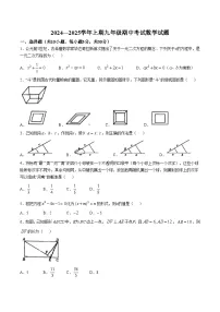 河南省郑州市枫杨、朗悦慧等九校2025届九年级上学期期中考试数学试卷(含答案)