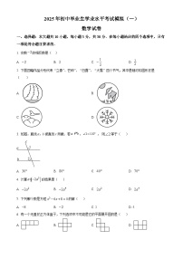 2025年广东省清远市英德市中考一模数学试题（原卷版+解析版）