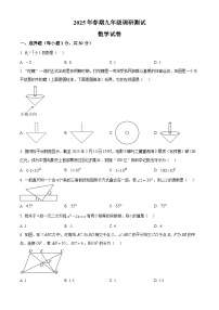 2025年河南省南阳市镇平县九年级中考一模九年级数学试题（原卷版+解析版）