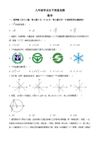 2025年陕西省咸阳市三原县中考一模数学试题 （原卷版+解析版）
