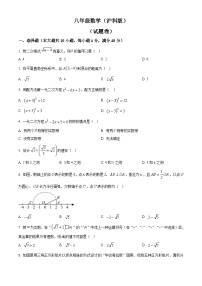 安徽省淮北市五校联考2024-2025学年八年级下学期4月期中考试数学试题（原卷版+解析版）