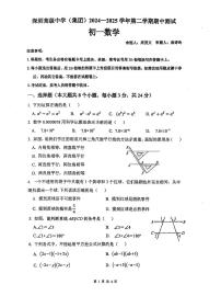 2024~2025学年深圳高级中学七年级下学期期中考试数学试卷