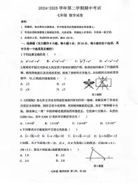 2024~2025学年深圳中学七年级下学期期中考试数学试卷