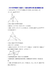 2025年中考数学二轮复习：三角形证明与计算 提分刷题练习题（含答案解析）