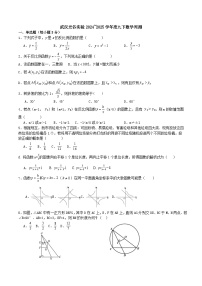 2024-2025学年湖北省武汉市东湖高新区武汉光谷实验九年级下学期数学3月周测数学试卷（word版）
