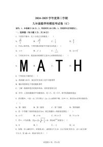 2024-2025学年 广东省汕头市潮南区中考一模数学试题（含答案）
