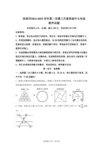 2024-2025学年 广东省深圳市光明区下册三月素养提升九年级数学试题（含答案）