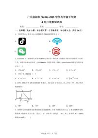 2024-2025学年 广东省深圳市九年级下册4月月考数学试题（含答案）
