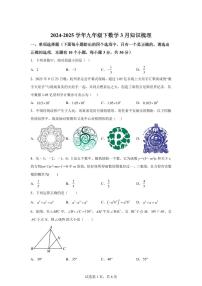 2024-2025学年 广东省中山市九年级下册数学3月模拟考试试题（含答案）