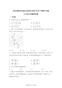 2024-2025学年 河北省沧州市盐山县下册九年级4月份月考数学试卷（含答案）