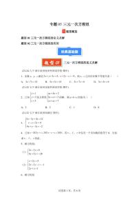 2024-2025学年 三元一次方程组（2题型）七年级数学下册期中真题检测试题
