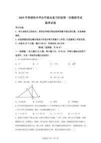 2024-2025学年 四川省德阳市九年级中考一模数学试题（含答案）