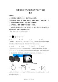 2024-2025学年 安徽省九年级第二次学业水平（二模）检测数学试题（含答案）