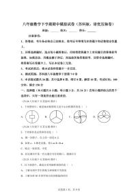 2024-2025学年 八年级数学下册期中模拟试卷（苏科版第7~9章培优压轴卷）八年级数学下册期中真题检测试题