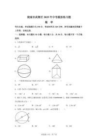 2024-2025学年 甘肃省陇南市武都区中考模拟数学练习题（含答案）