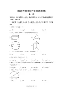 2024-2025学年 甘肃省陇南市武都区中考模拟数学练习题（含答案）