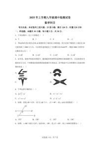 2024-2025学年 湖南省长沙市联考九年级下册4月期中考试数学试题（含答案）